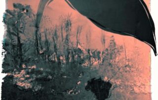 O que fará Jair Bolsonaro?