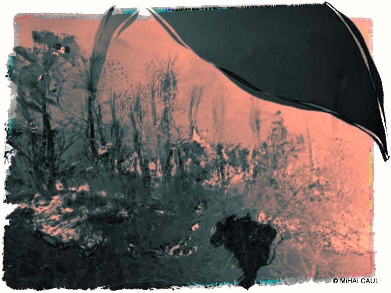 O que fará Jair Bolsonaro?