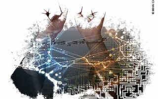 Plantation e o neoliberalismo no Brasil