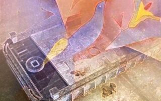 O vazio da redes sociais