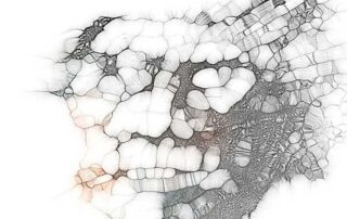 Os otários e a política