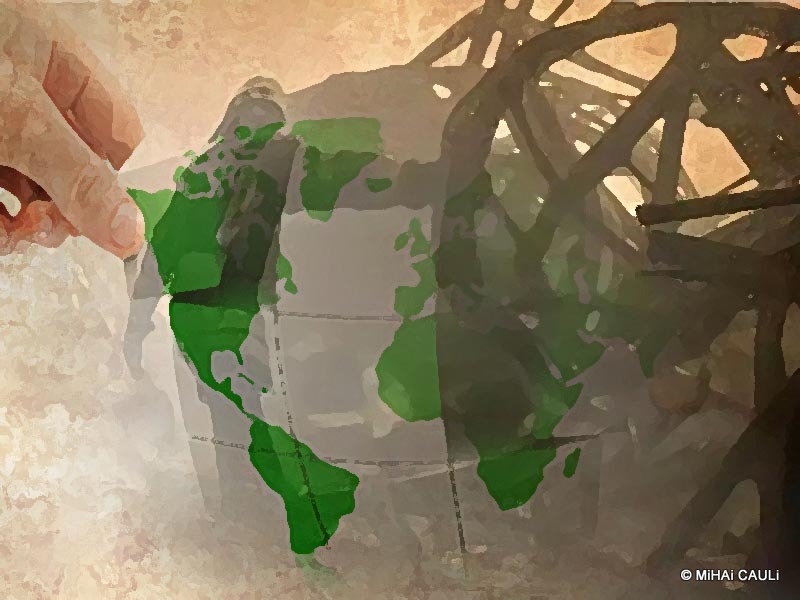 Quais são os efeitos da guerra no Brasil?