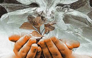 A atual diretoria do Banco Central e o novo governo de 2023