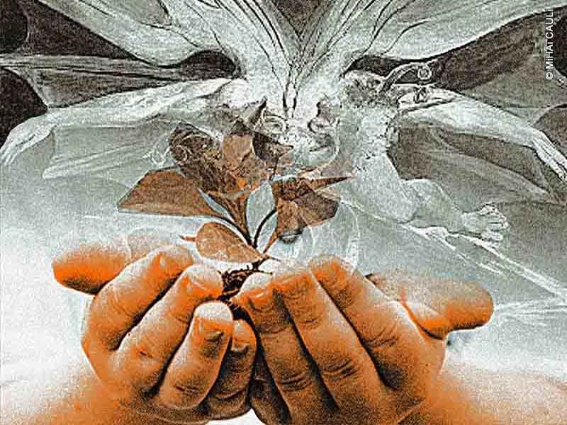 A atual diretoria do Banco Central e o novo governo de 2023