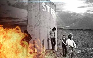 STF e a democracia brasileira