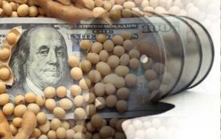 Financeirização econômica com os dias contados