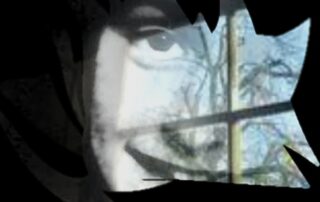 Um diário sobre o nazismo