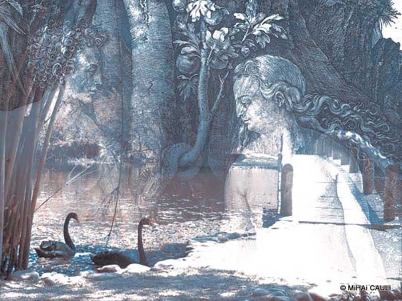 Paraíso, Adão e Eva