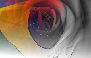 sequestro dos simbólos nacionais nos privs de vestir a bandeira nacional