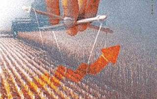 Aposta do Wall Street causa inflação