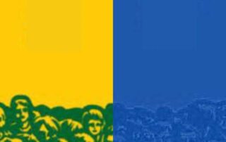 Uma crônica sobre a peste que divide o país