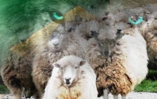 Decisões duvidosas do Cade no governo Bolsonaro