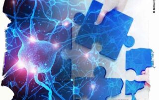 As transformações do capitalismo e o regionalismo