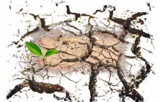 Os próximos passos de Lula