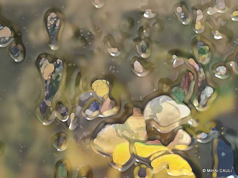 O bando bolsonarista