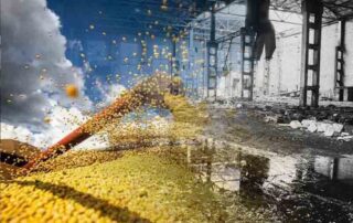 Desenvolvimento econômica e a exportação de commodities