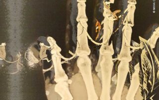 Liberdade na sociedade neoliberal