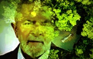 Finanças verdes para promover a descarbonização