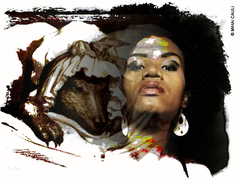 A força das metáforas na consciência política