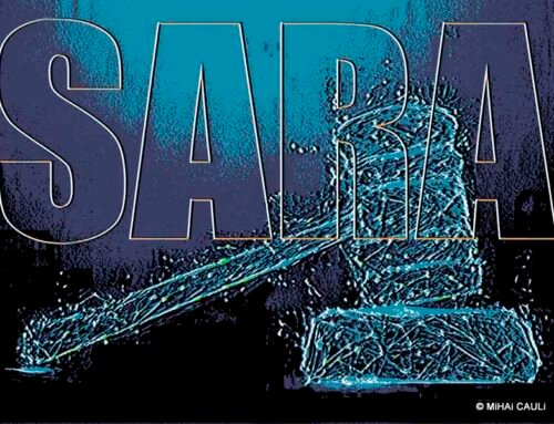 SARA, a inteligência artificial para uso em tribunais