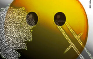 A política brasileira e a rede social X