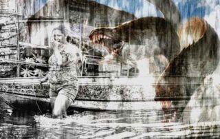 Afetos negacionistas