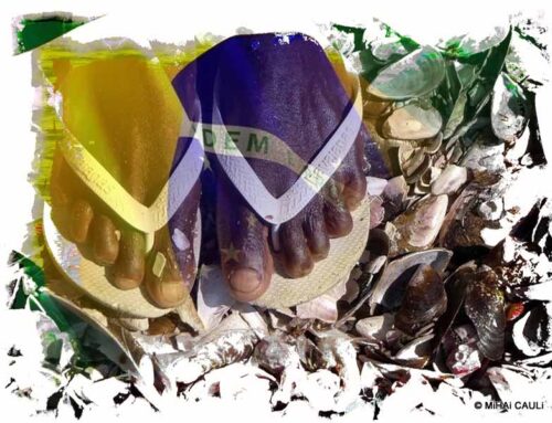 Pardismo, uma ideologia reacionária para tempos de crise