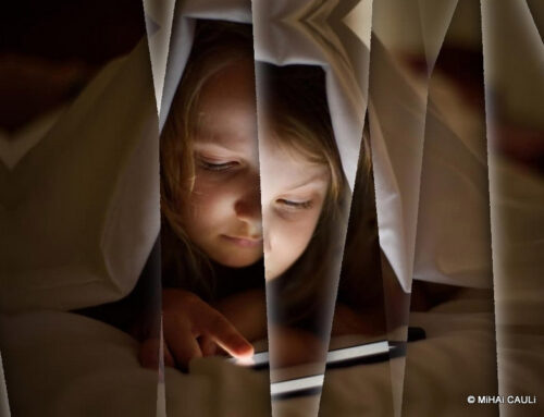 O triunfo do “pajaporte”: a verificação de idade chega à internet