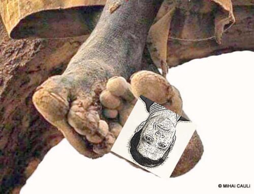 Correções das desigualdades de renda continuam sendo rechaçadas pelas elites retrógradas brasileiras