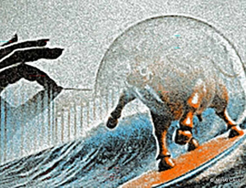 A Bolha pode estourar?