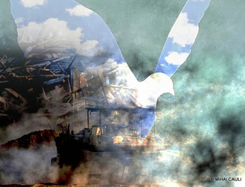 A utopia da distopia