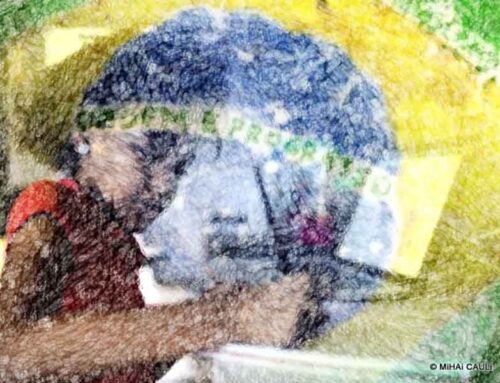 Por que o Brasil não se desenvolveu