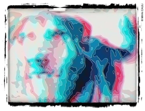 Dívida pública: o rabo balançando o cachorro?