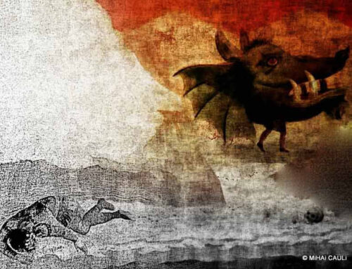 Por que errar virou regra nas previsões econômicas?