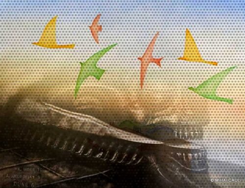 O percurso da polarização