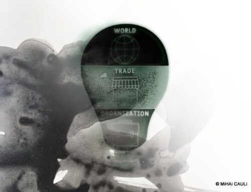 A 14ª Conferência Ministerial da OMC