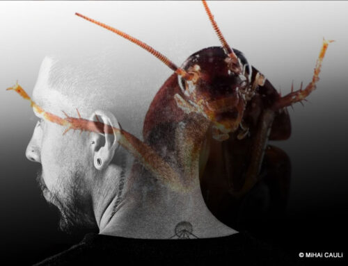 A era da paralisia: quando saber de tudo nos deixa incapazes de agir