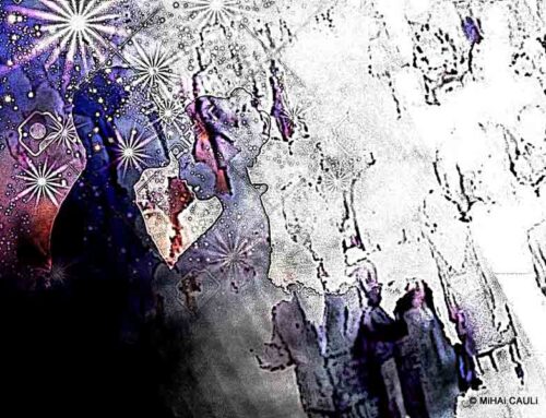 Contador de estrelas