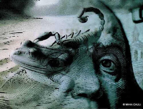 “É a economia, estúpido!” – não, não é mais, Sr. Carville