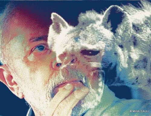 Reeleição de Lula indefinida