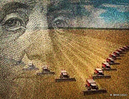 Para além do tech, pop e tudo: a soja e a engrenagem financeira do colapso ecológico